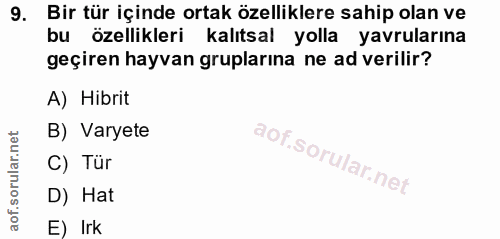 9. soru: Bir tür içinde ortak özelliklere sahip olan ve bu özellikleri kalıtsal yolla yavrularına geçiren hayvan gruplarına ne…