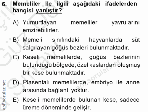 6. soru: Memeliler ile ilgili aşağıdaki ifadelerden hangisi yanlıştır? A) Yumurtlayan memeliler yavrularını emzirebilirler. B)…