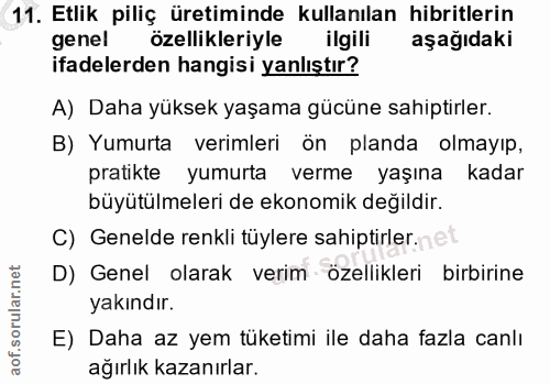 11. soru: Etlik piliç üretiminde kullanılan hibritlerin genel özellikleriyle ilgili aşağıdaki ifadelerden hangisi yanlıştır? A)…