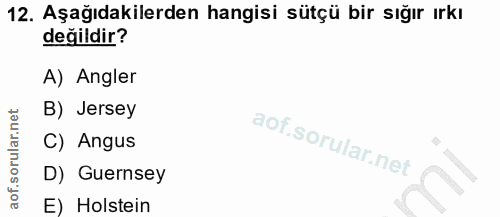 12. soru: Aşağıdakilerden hangisi sütçü bir sığır ırkı değildir? A) Angler B) Jersey C) Angus D) Guernsey E) Holstein