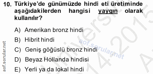 10. soru: Türkiye'de günümüzde hindi eti üretiminde aşağıdakilerden hangisi yaygın olarak kullanılır? A) Amerikan bronz hindi B…