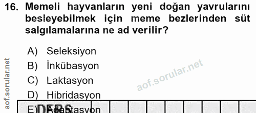 16. soru: Memeli hayvanların yeni doğan yavrularını besleyebilmek için meme bezlerinden süt salgılamalarına ne ad verilir? A) S…