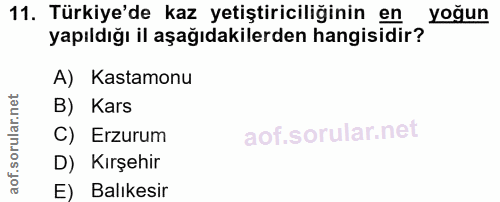 11. soru: Türkiye'de kaz yetiştiriciliğinin en Yoğun yapıldığı il aşağıdakilerden hangisidir? A) Kastamonu B) Kars C) Erzurum D…
