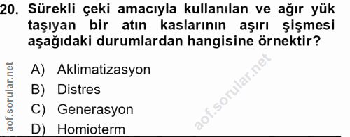 20. soru: Sürekli çeki amacıyla kullanılan ve ağır yük taşıyan bir atın kaslarının aşırı şişmesi aşağıdaki durumlardan hangisin…