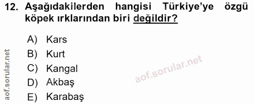 12. soru: Aşağıdakilerden hangisi Türkiye'ye özgü köpek ırklarından biri değildir? A) Kars B) Kurt C) Kangal D) Akbaş E) Karabaş