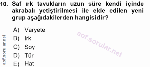 10. soru: Saf ırk tavukların uzun süre kendi içinde akrabalı yetiştirilmesi ile elde edilen yeni grup aşağıdakilerden hangisidi…