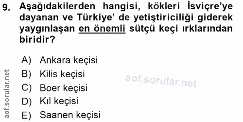 9. soru: Aşağıdakilerden hangisi, kökleri Isviçre'ye dayanan ve Türkiye' de yetiştiriciliği giderek yaygınlaşan en önemli sütç…