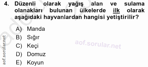 4. soru: Düzenli olarak yağış alan ve sulama olanakları bulunan ülkelerde ilk olarak aşağıdaki hayvanlardan hangisi yetiştiril…