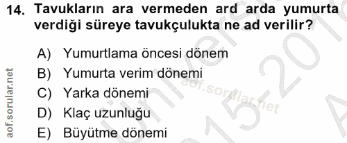 14. soru: Tavukların ara vermeden ard arda yumurta verdiği süreye tavukçulukta ne ad verilir? A) Yumurtlama öncesi dönem B)E Yu…