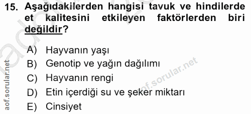 15. soru: Aşağıdakilerden hangisi tavuk ve hindilerde et kalitesini etkileyen faktörlerden biri değildir? A) Hayvanın yaşı B) G…
