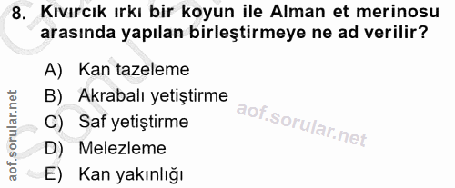 8. soru: Kıvırcık ırkı bir koyun ile Alman et merinosu arasında yapılan birleştirmeye ne ad verilir? A) Kan tazeleme )_Akrabal…