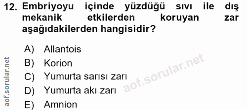 12. soru: Embriyoyu içinde yüzdüğü sıvı ile dış mekanik etkilerden koruyan zar aşağıdakilerden hangisidir? A) Allantois B) Kori…