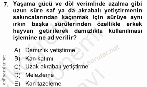 7. soru: Yaşama gücü ve döl veriminde azalma gibi uzun süre saf ya da akrabalı yetiştirmenin sakıncalarından kaçınmak için sür…