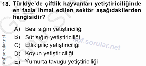 18. soru: Türkiye'de çiftlik hayvanları yetiştiriciliğinde en fazla ihmal edilen sektör aşağıdakilerden hangisidir? A) Besi sığ…