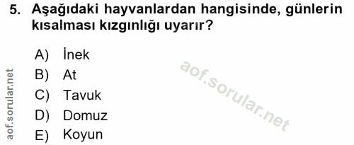 5. soru: Aşağıdaki hayvanlardan hangisinde, günlerin kısalması kızgınlığı uyarır? A) Inek B) At C) Tavuk D) Domuz E) Koyun