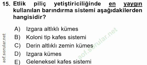 15. soru: Etlik piliç yetiştiriciliğinde en yaygın kullanılan barındırma sistemi aşağıdakilerden hangisidir? A) Izgara altlıklı…