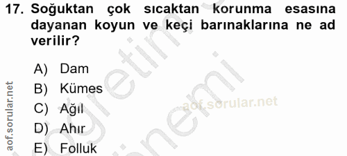 17. soru: Soğuktan çok sıcaktan korunma esasına dayanan koyun ve keçi barınaklarına ne ad verilir? A) Dam B) Kümes S sörular.ne…