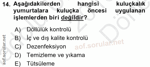 14. soru: Aşağıdakilerden hangisi kuluçkalık yumurtalara kuluçka öncesi uygulanan işlemlerden biri değildir? A) Döllülük kontro…