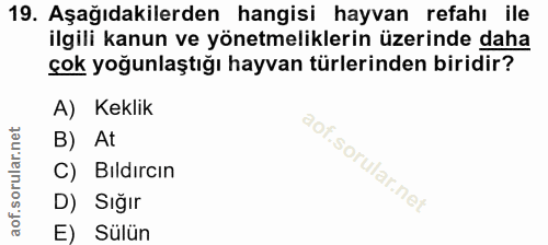 19. soru: Aşağıdakilerden hangisi hayvan refahı ile ilgili kanun ve yönetmeliklerin üzerinde daha çok yoğunlaştığı hayvan türle…