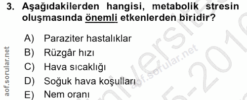 3. soru: Aşağıdakilerden hangisi, metabolik stresin oluşmasında önemli etkenlerden biridir? A) Paraziter hastalıklar Rüzgâr hı…