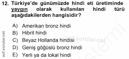 12. soru: Türkiye'de günümüzde hindi eti üretiminde yaygın olarak kullanılan hindi türü aşağıdakilerden hangisidir? A) Amerikan…