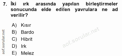 7. soru: Iki ırk arasinda yapılan birleştirmeler sonucunda elde edilen yavrulara ne ad verilir? A) Kısır B) Bardo C) Hibrit D)…