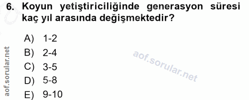 6. soru: Koyun yetiştiriciliğinde generasyon süresi kaç yıl arasında değişmektedir? A) 1-2 B) 2-4 C) 3-5 D) 5-8 E) 9-10