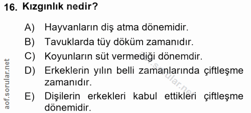 16. soru: Kızgınlık nedir? A) Hayvanların diş atma dönemidir. B) Tavuklarda tüy döküm zamanıdır. C) Koyunların süt vermediği dö…