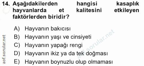 14. soru: Aşağıdakilerden hangisi kasaplık hayvanlarda et kalitesini etkileyen faktörlerden biridir? A) Hayvanın bakıcısı lar.n…