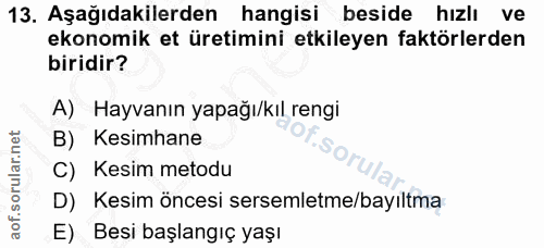 13. soru: Aşağıdakilerden hangisi beside hızlı ve ekonomik et üretimini etkileyen faktörlerden biridir? A) Hayvanın yapağı/kıl…