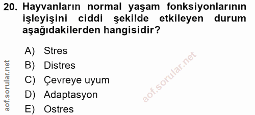 20. soru: Hayvanların normal yaşam fonksiyonlarının işleyişini ciddi şekilde etkileyen durum aşağıdakilerden hangisidir? A) Str…