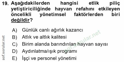 19. soru: Aşağıdakilerden hangisi etlik piliç yetiştiriciliğinde hayvan refahını etkileyen öncelikli yönetimsel faktörlerden bi…