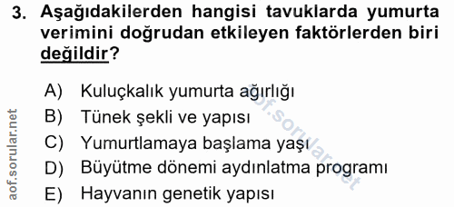 3. soru: Aşağıdakilerden hangisi tavuklarda yumurta verimini doğrudan etkileyen faktörlerden biri değildir? A) Kuluçkalık yumu…