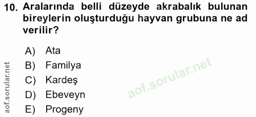 10. soru: Aralarında belli düzeyde akrabalık bulunan bireylerin oluşturduğu hayvan grubuna ne ad verilir? A) Ata B) Familya Kar…