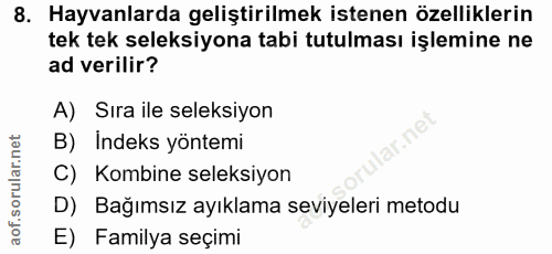 8. soru: Hayvanlarda geliştirilmek istenen özelliklerin tek tek seleksiyona tabi tutulması işlemine ne ad verilir? A) Sıra ile…