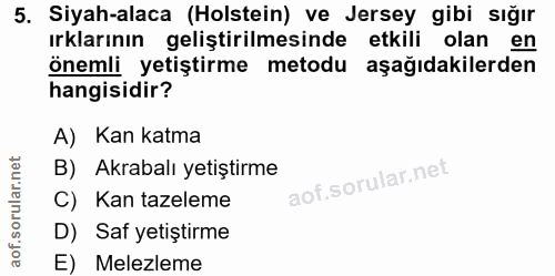 5. soru: Siyah-alaca (Holstein) ve Jersey gibi sığır ırklarının geliştirilmesinde etkili olan en önemli yetiştirme metodu aşağ…