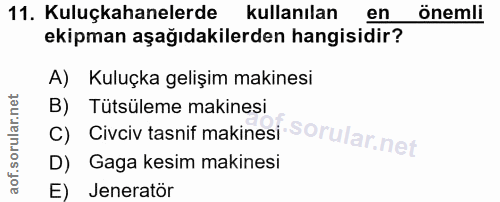 11. soru: Kuluçkahanelerde kullanılan en önemli ekipman aşağıdakilerden hangisidir? A) Kuluçka gelişim makinesi c) Civciv tasni…