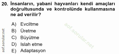 20. soru: İnsanların, yabani hayvanları kendi amaçları doğrultusunda ve kontrolünde kullanmasına ne ad verilir? A) Evciltme B)…