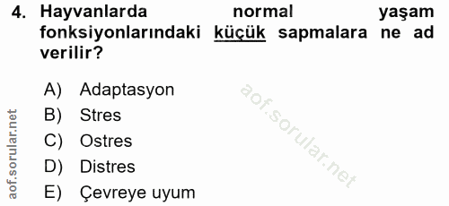 4. soru: Hayvanlarda normal yaşam fonksiyonlarındaki küçük sapmalara ne ad verilir? A) Adaptasyon B) Stres C) Ostres D) Distre…
