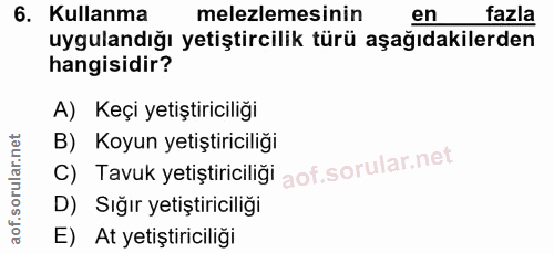 6. soru: Kullanma melezlemesinin en fazla uygulandığı yetiştircilik türü aşağıdakilerden hangisidir? A) Keçi yetiştiriciliği C…