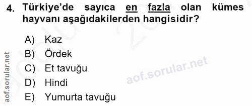 4. soru: Türkiye'de sayıca en fazla olan kümes hayvanı aşağıdakilerden hangisidir? A) Kaz B) Ördek C) Et tavuğu D) Hindi E) Yu…