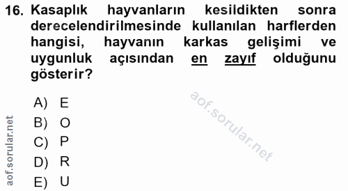 16. soru: Kasaplık hayvanların kesildikten sonra derecelendirilmesinde kullanılan harflerden hangisi, hayvanın karkas gelişimi…