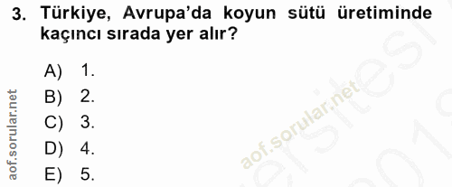 3. soru: Türkiye, Avrupa'da koyun sütü üretiminde kaçıncı sırada yer alır? A) 1. B) 2. C) 3. D) 4. E) 5.