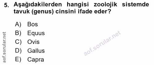 5. soru: Aşağıdakilerden hangisi zoolojik sistemde tavuk (genus) cinsini ifade eder? A) Bos B) Equus C) Ovis D) Gallus E) Capra