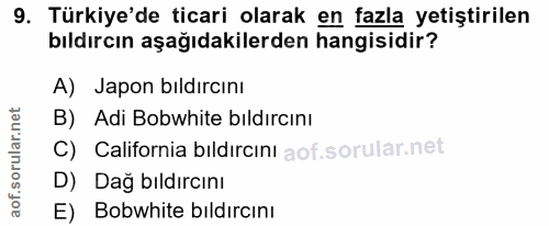 9. soru: Türkiye'de ticari olarak en fazla yetiştirilen bıldırcın aşağıdakilerden hangisidir? A) Japon bıldırcını B) Adi Bobwh…