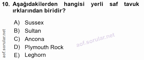 10. soru: Aşağıdakilerden hangisi yerli saf tavuk ırklarından biridir? A) Sussex B) Sultan C) Ancona D) Plymouth Rock E) Leghorn