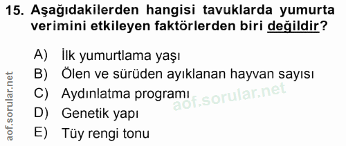 15. soru: Aşağıdakilerden hangisi tavuklarda yumurta verimini etkileyen faktörlerden biri değildir? A) Ilk yumurtlama yaşı B) Ö…