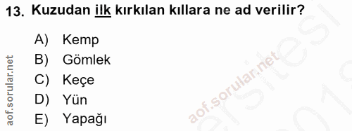 13. soru: Kuzudan ilk kırkılan kıllara ne ad verilir? A) Kemp B) Gömlek C) Keçe D) Yün E) Yapağı