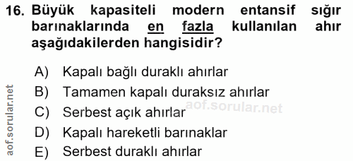 16. soru: Büyük kapasiteli modern entansif sığır barınaklarında en fazla kullanılan ahır aşağıdakilerden hangisidir? A) Kapalı…