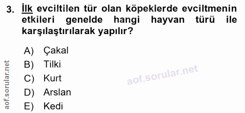 3. soru: Ilk evciltilen tür olan köpeklerde evciltmenin etkileri genelde hangi hayvan türü karşılaştırılarak yapılır? A) Çakal…